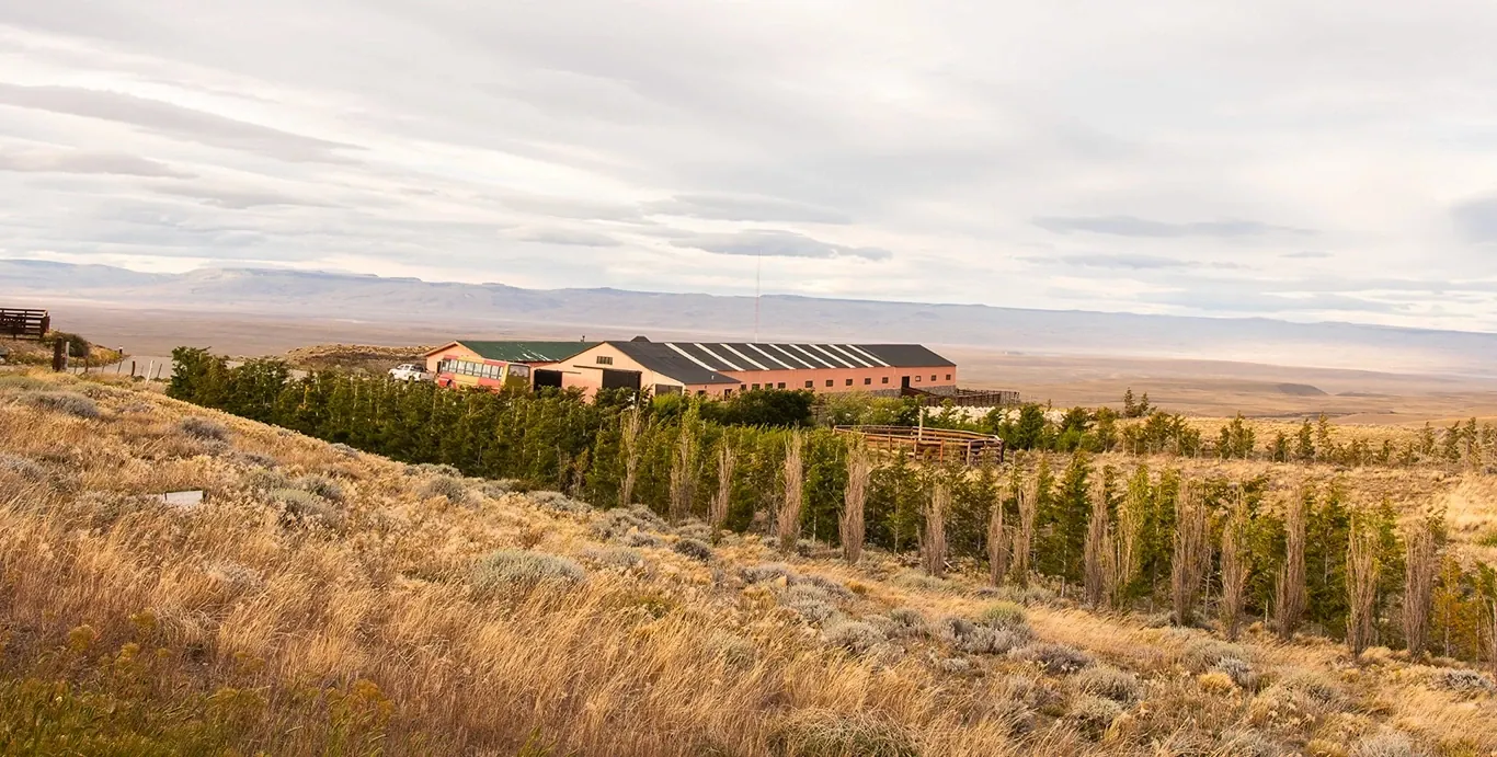 Vista de la estancia Cruz Aike entre la arboleda y la estepa, cerca de El Calafate