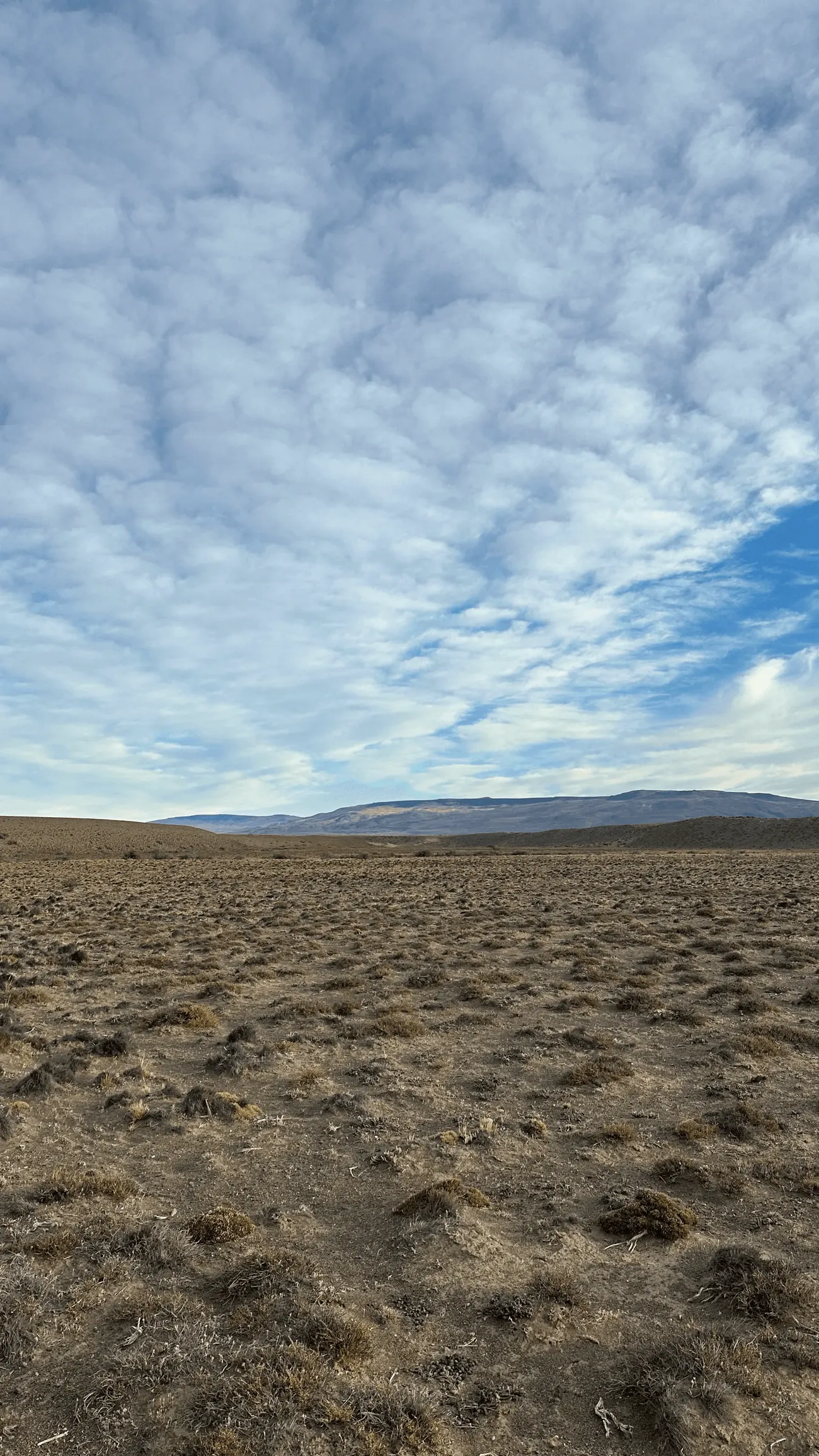 Cielo patagónico sobre la estepa de la estancia Cruz Aike, El Calafate